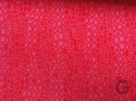 D81