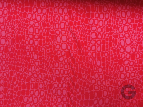 D81 D81