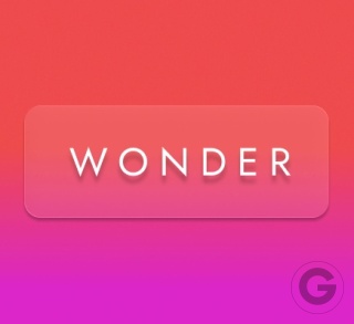 WONDER/NILO